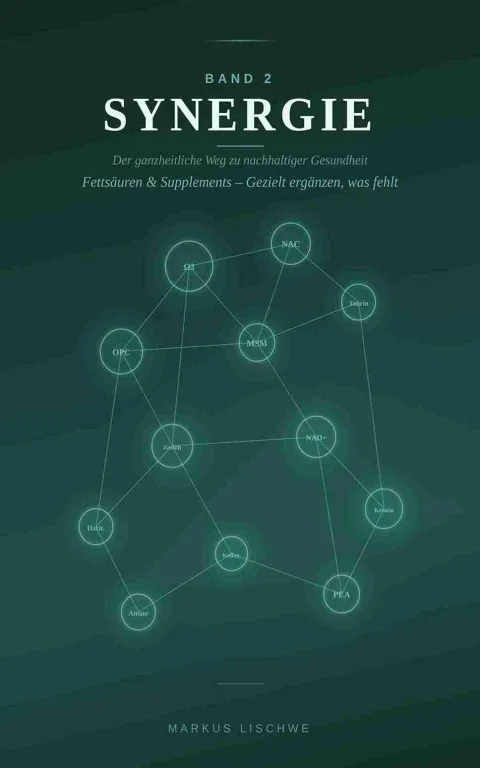 Buchcover Synergie Band 2 – Supplements von Markus Lischwe