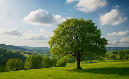 Streuobst- und Waldstrukturen im Wasserhaushalt